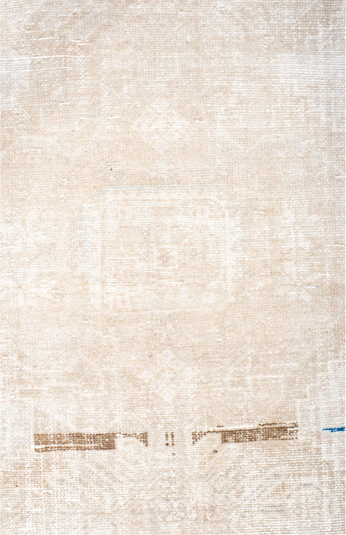Antique Hamadan Area Rug (4' x 6')